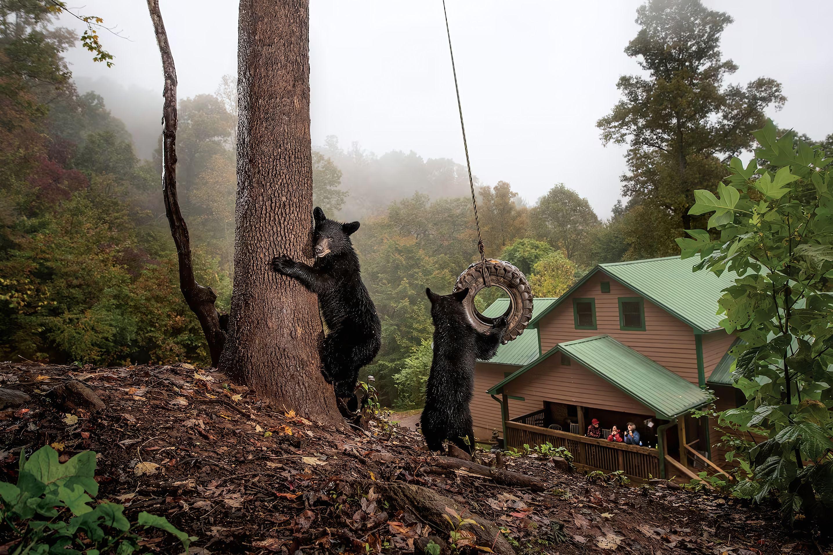 (مأوى) للحيوانات البرية