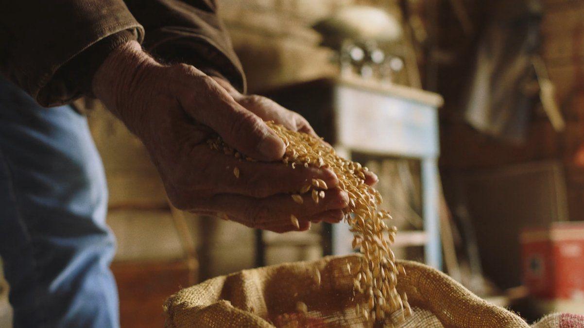 هل نسير نحو الأمن الغذائي؟