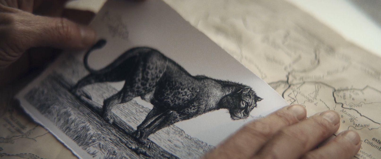 النمر العربي